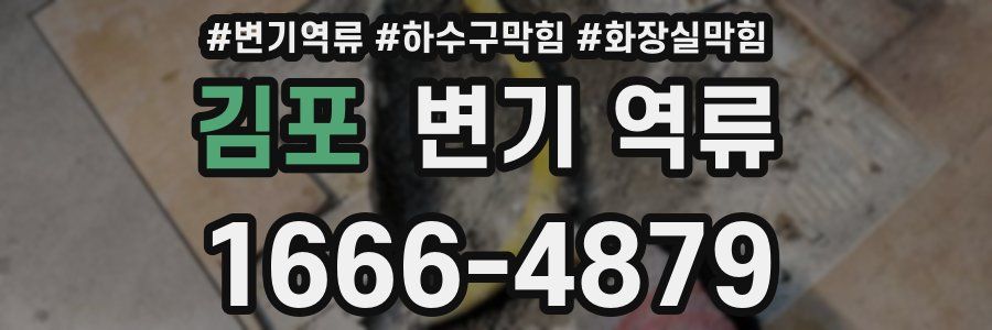 김포 변기 역류