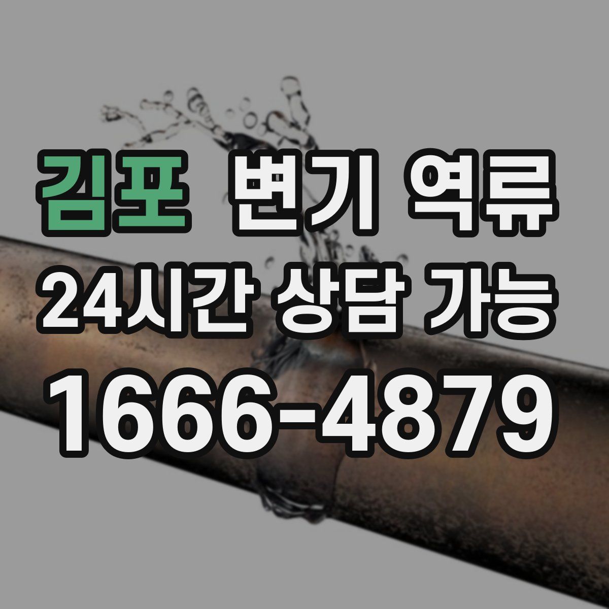 김포 변기 역류