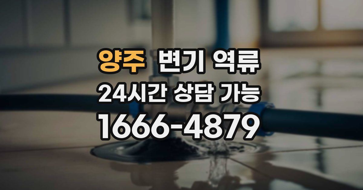 양주 변기 역류