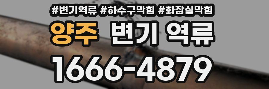 양주 변기 역류