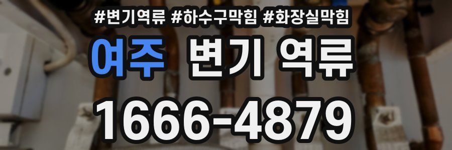 여주 변기 역류