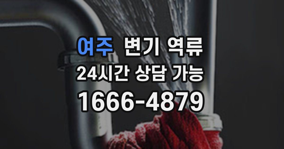 여주 변기 역류