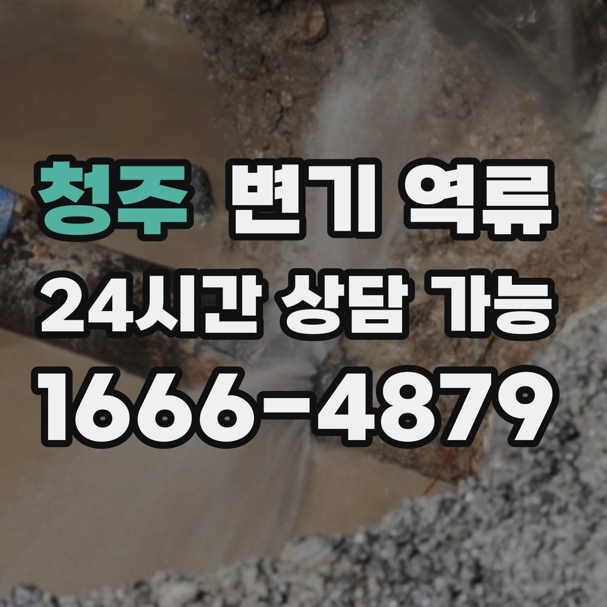 청주 변기 역류 양이 많을수록 의심해야 할 원인