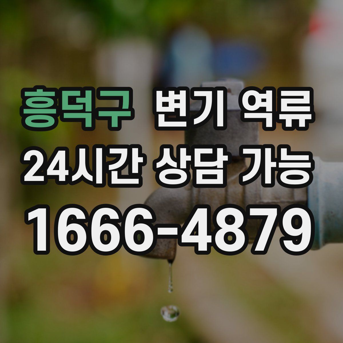 흥덕구 변기 역류