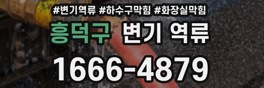 흥덕구 변기 역류