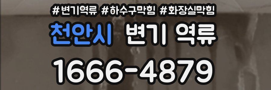 천안시 변기 역류