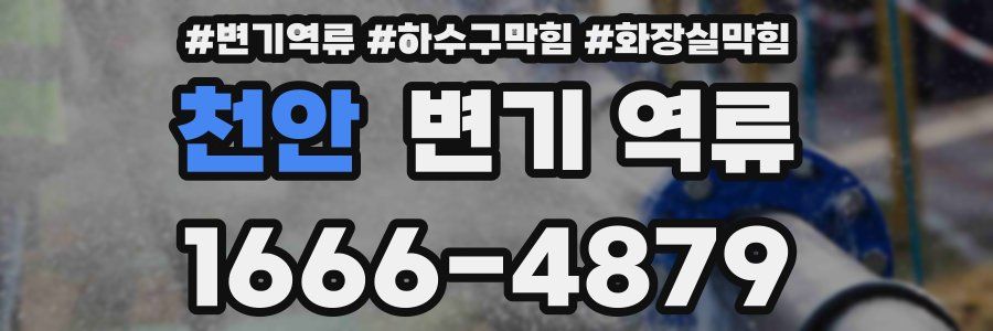 천안 변기 역류