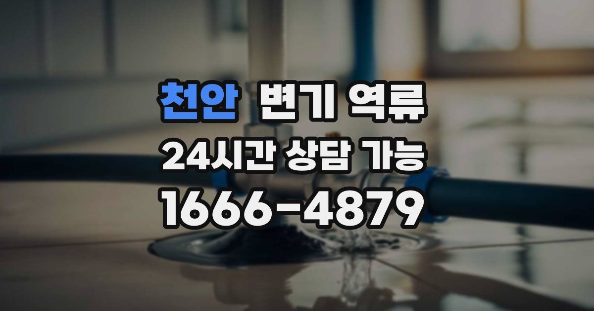 천안 변기 역류