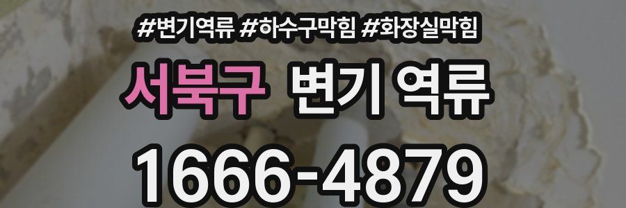 서북구 변기 역류