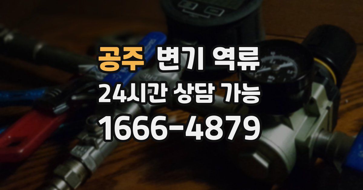 공주 변기 역류