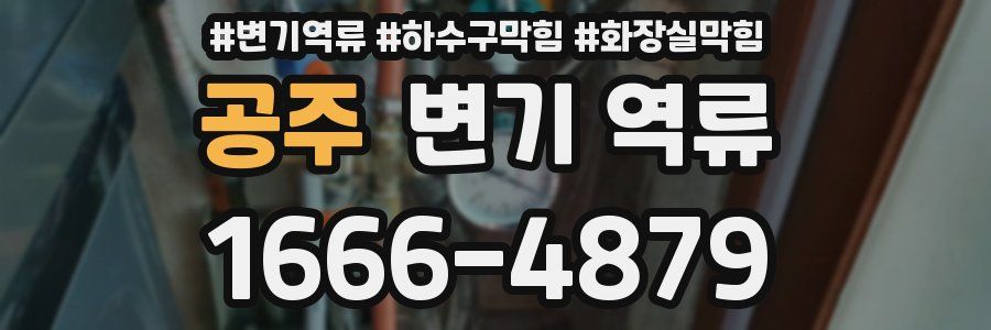 공주 변기 역류