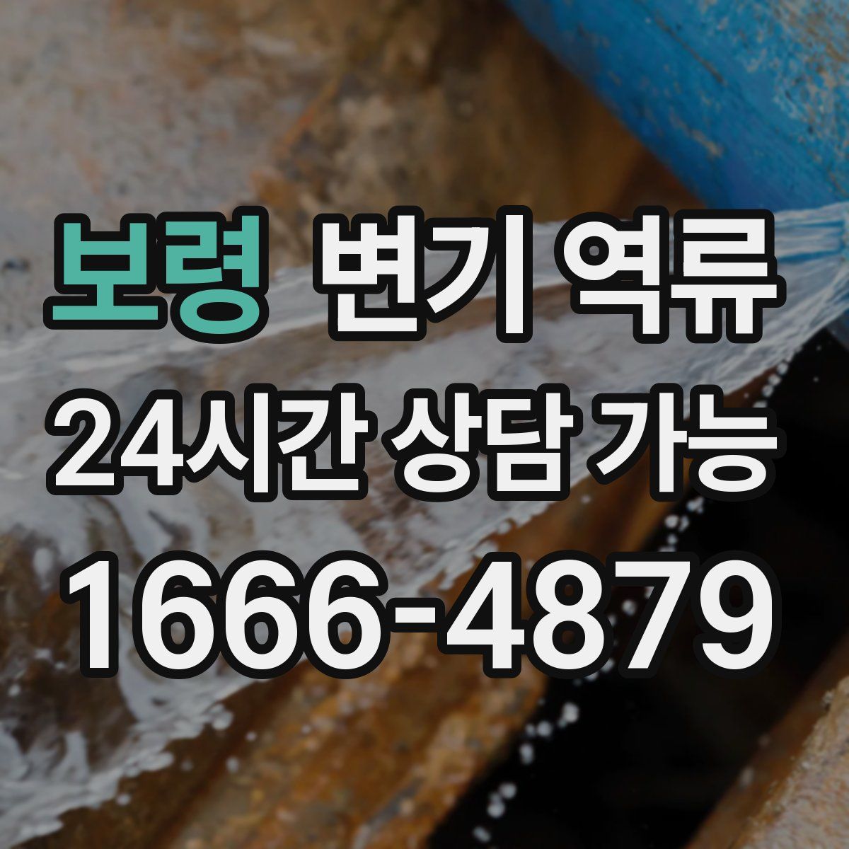 보령 변기 역류