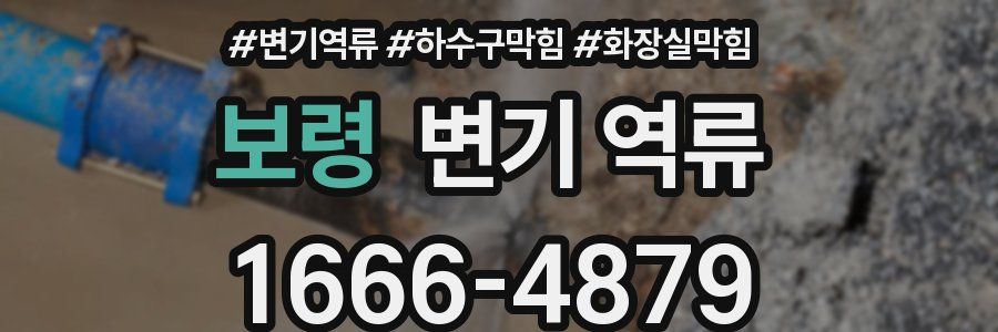 보령 변기 역류