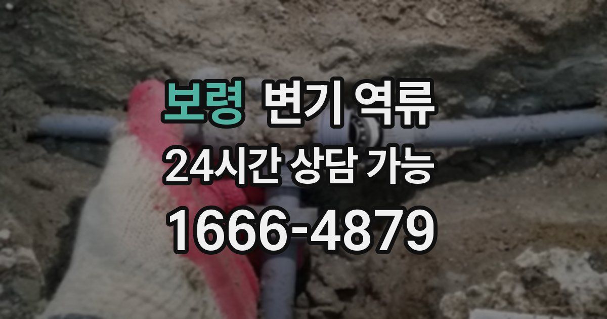 보령 변기 역류