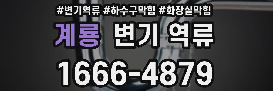 계룡 변기 역류