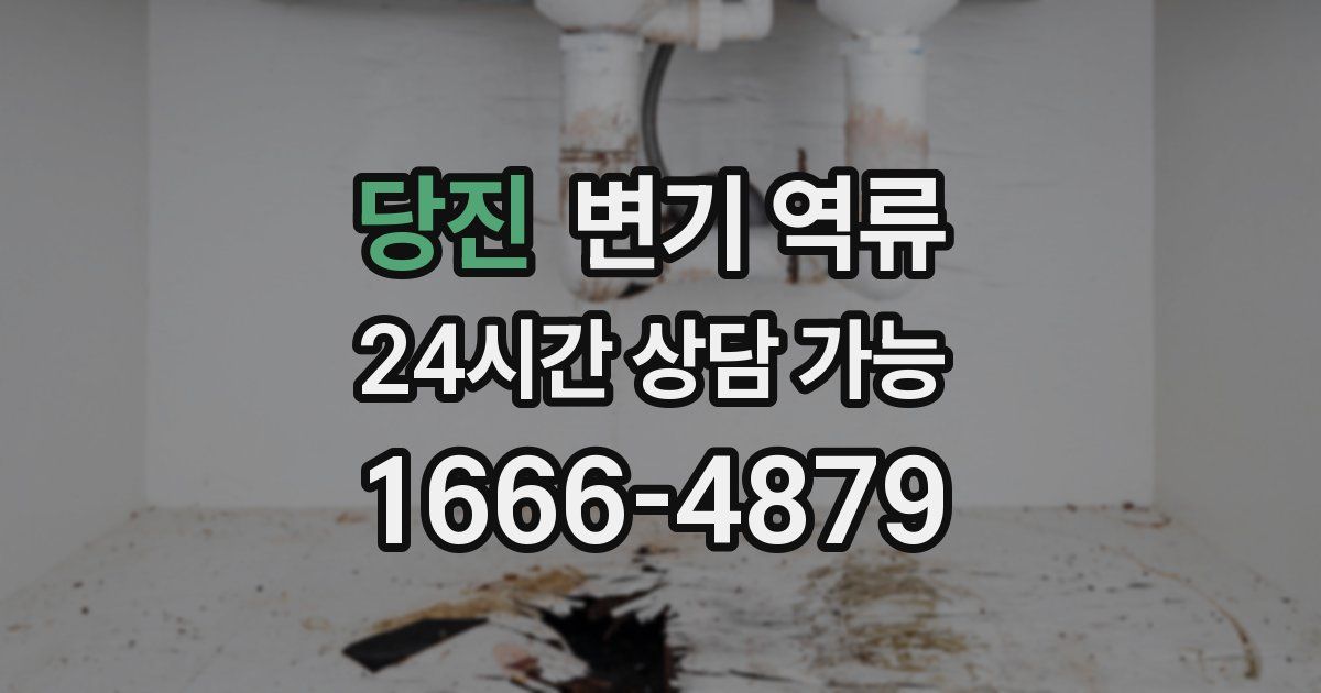 당진 변기 역류