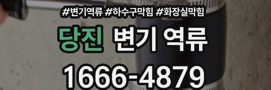 당진 변기 역류