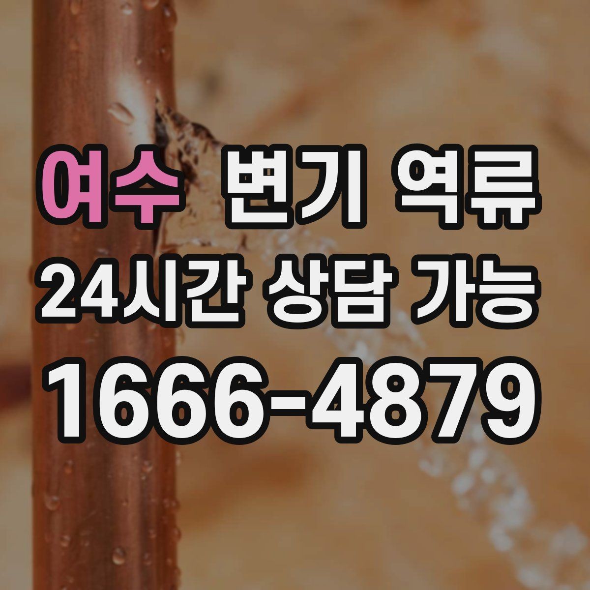 여수 변기 역류 공용 라인 막힘일 때 특히 위험한 행동