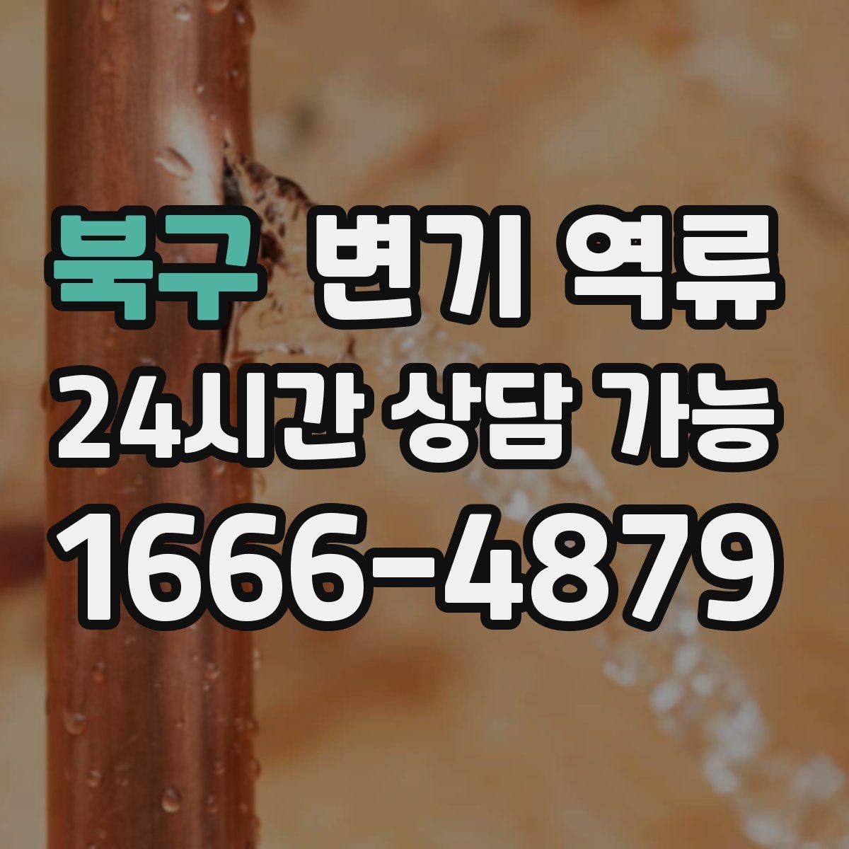 북구 변기 역류