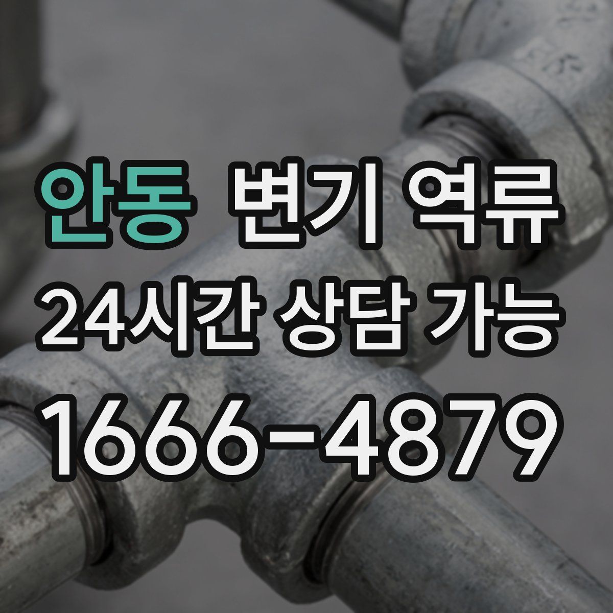 안동 변기 역류