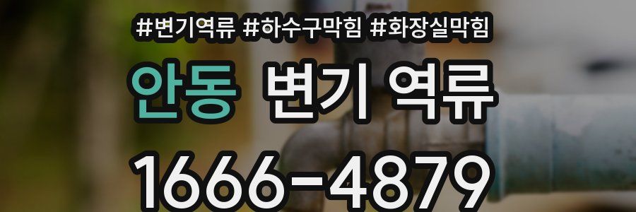 안동 변기 역류