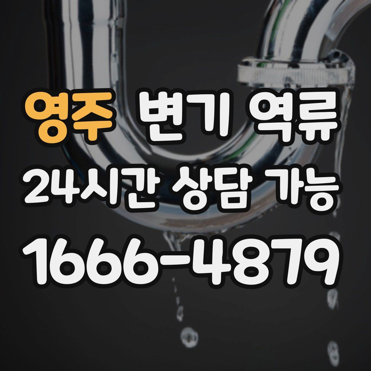 영주 변기 역류