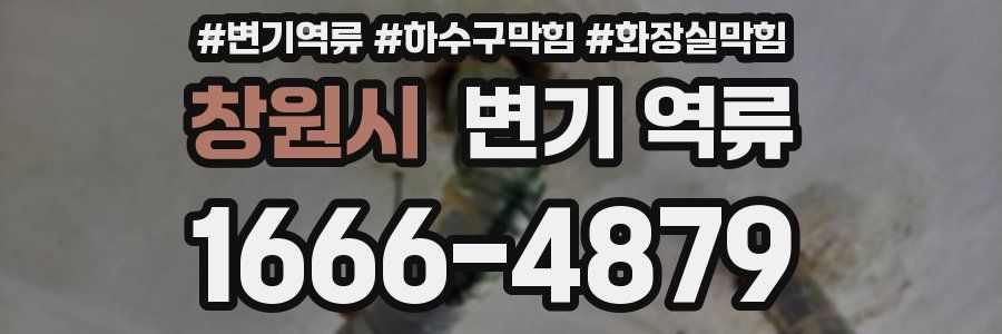 창원시 변기 역류