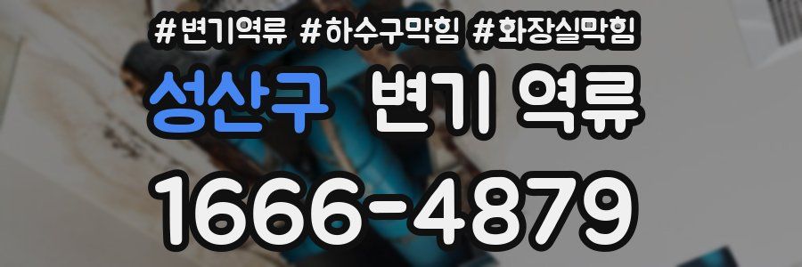 성산구 변기 역류