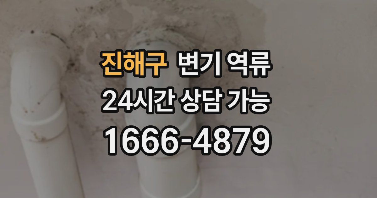 진해구 변기 역류