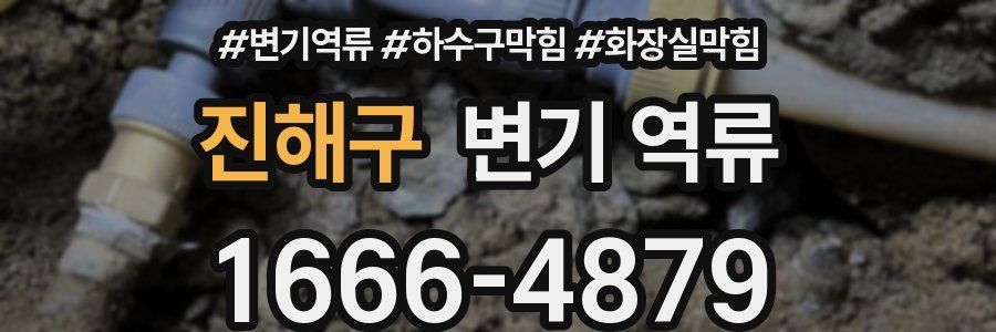 진해구 변기 역류