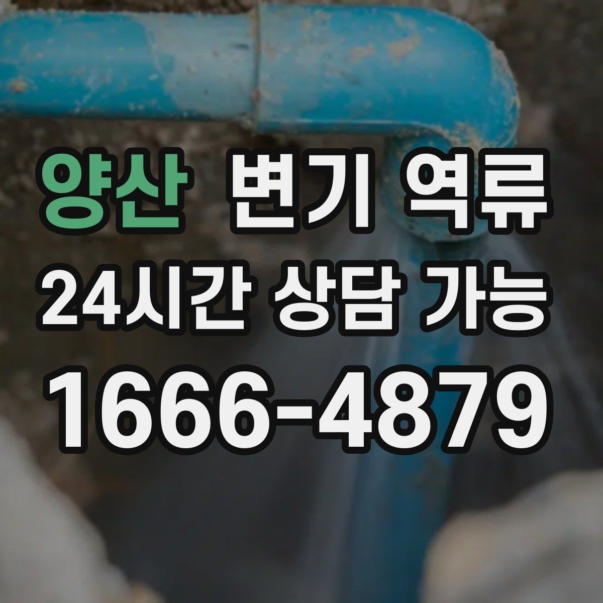 양산 변기 역류 같은 시간대에 반복되면 공용 배관 가능성