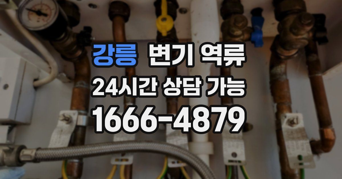 강릉 변기 역류