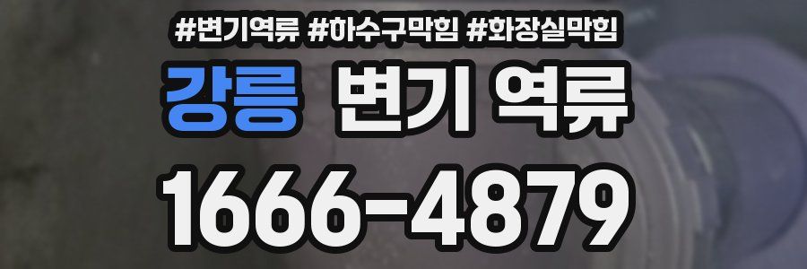 강릉 변기 역류