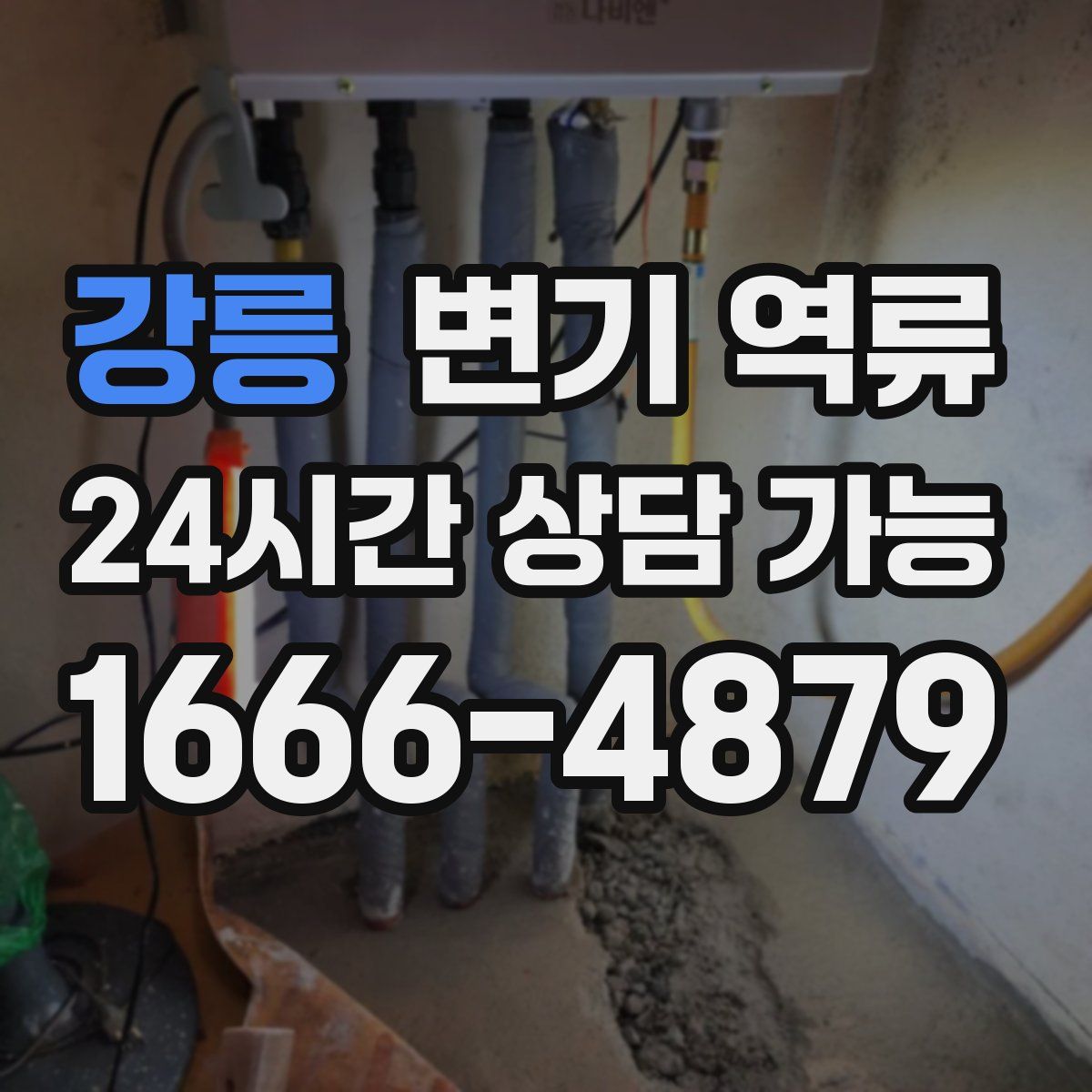 강릉 변기 역류