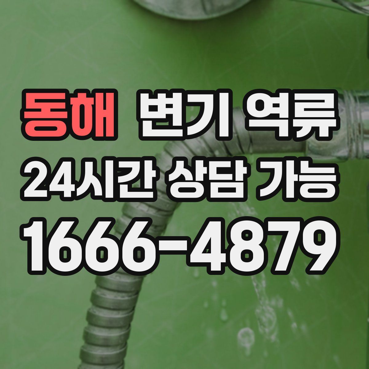 동해 변기 역류