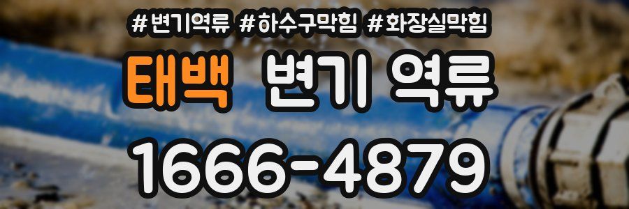 태백 변기 역류