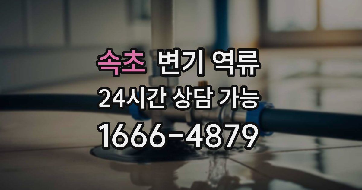 속초 변기 역류