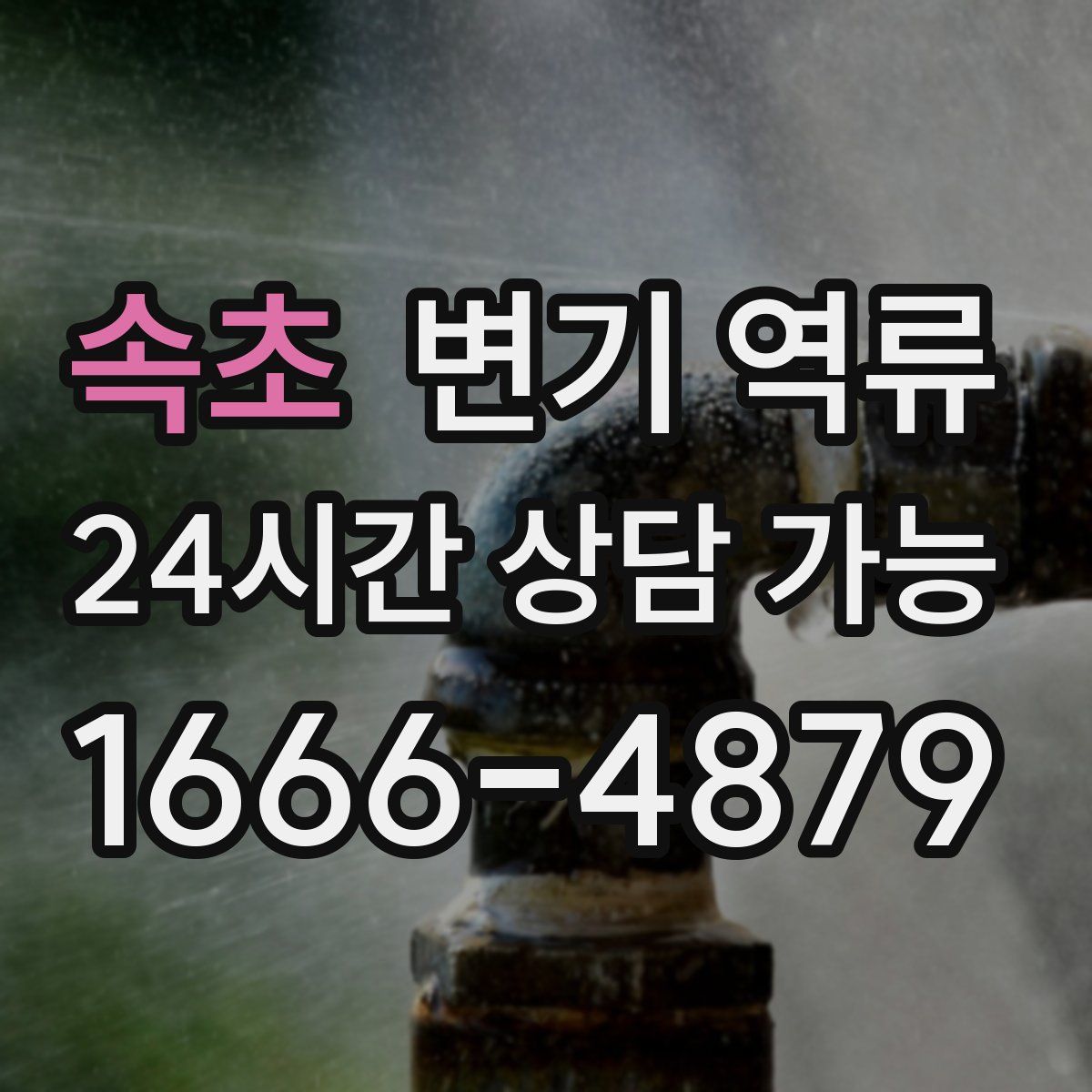 속초 변기 역류