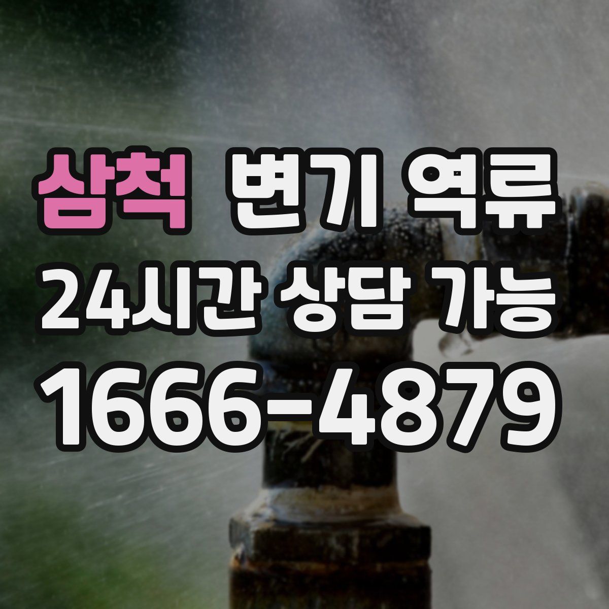 삼척 변기 역류