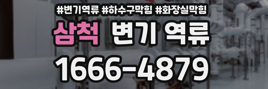 삼척 변기 역류