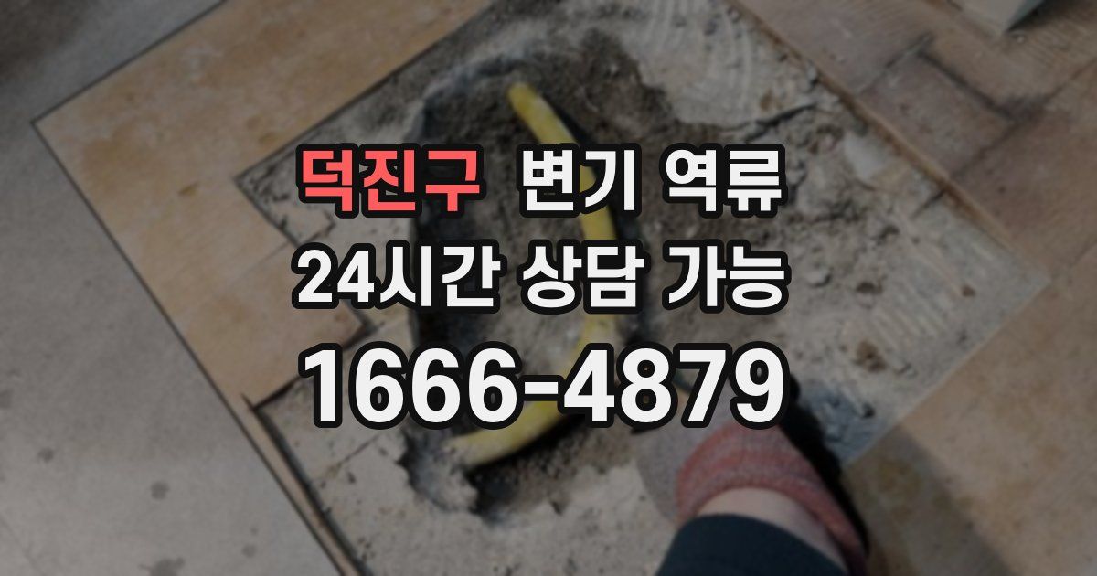 덕진구 변기 역류