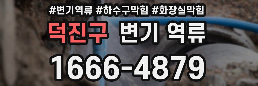 덕진구 변기 역류