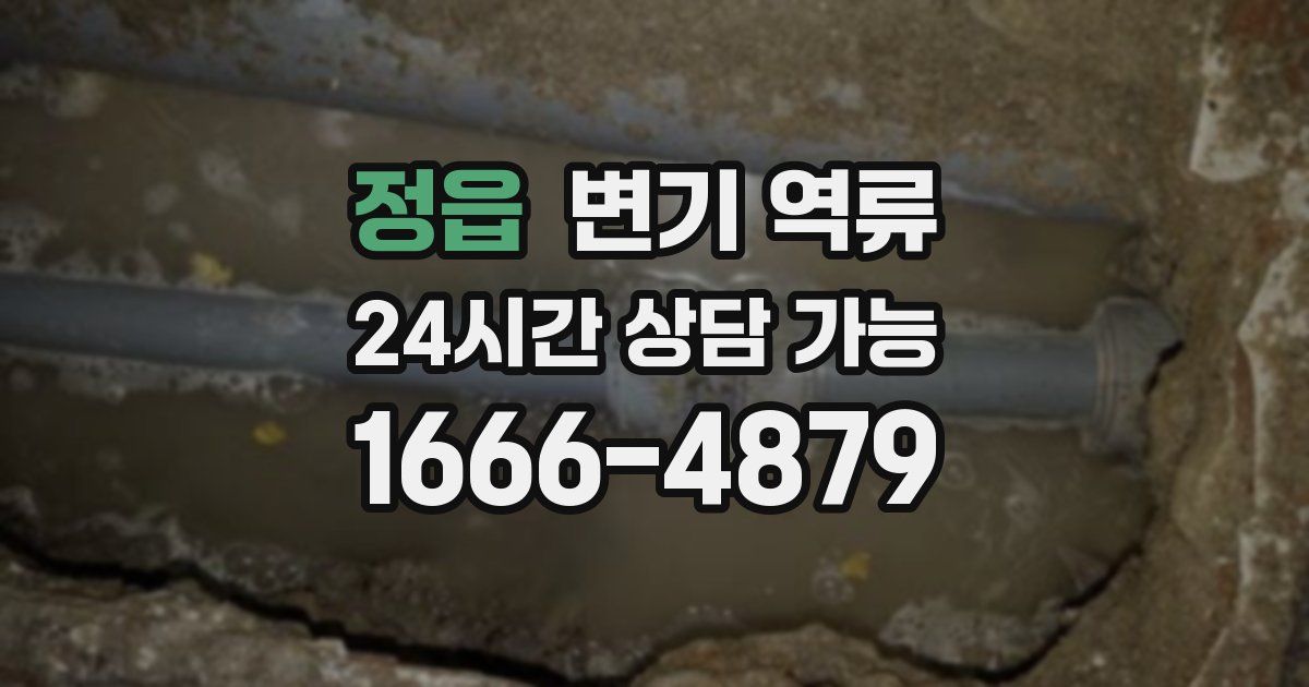 정읍 변기 역류