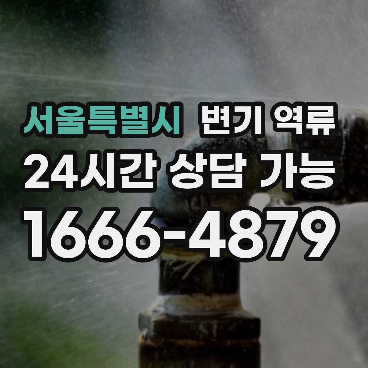 서울특별시 변기 역류 셀프로 뚫으려다 더 악화되는 사례