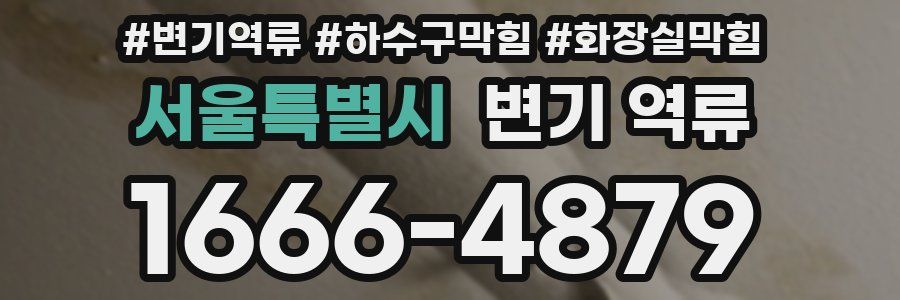 서울특별시 변기 역류