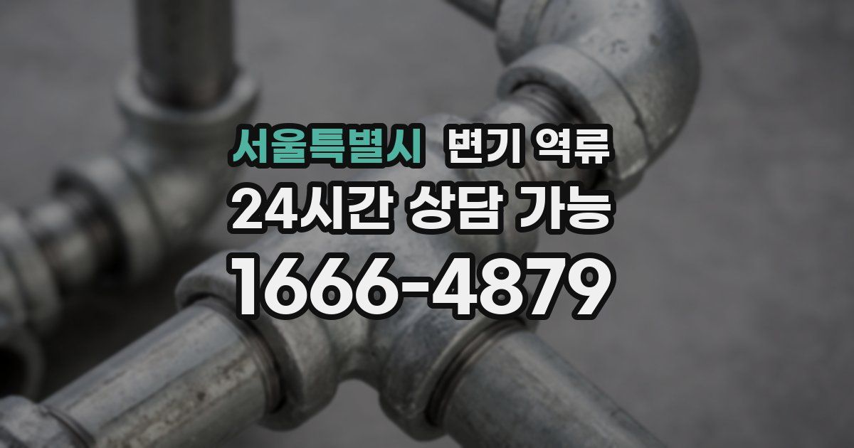 서울특별시 변기 역류
