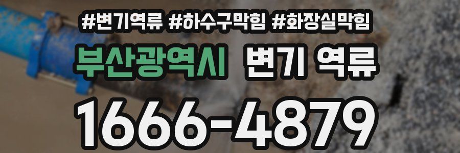 부산광역시 변기 역류