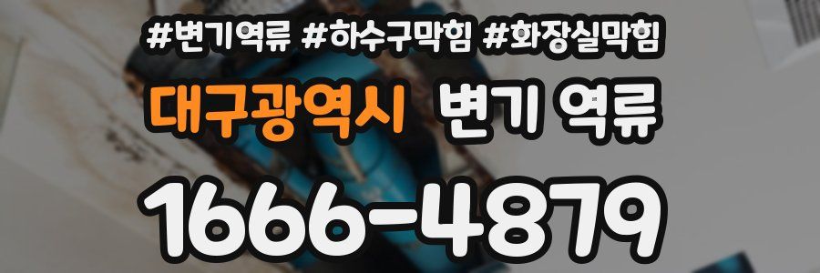대구광역시 변기 역류