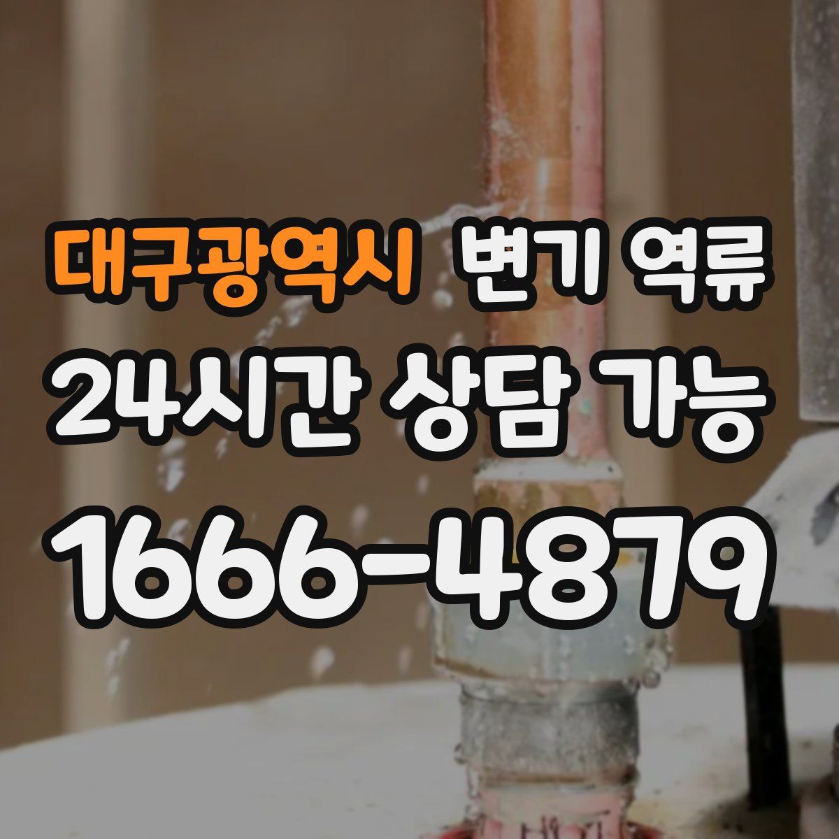 대구광역시 변기 역류