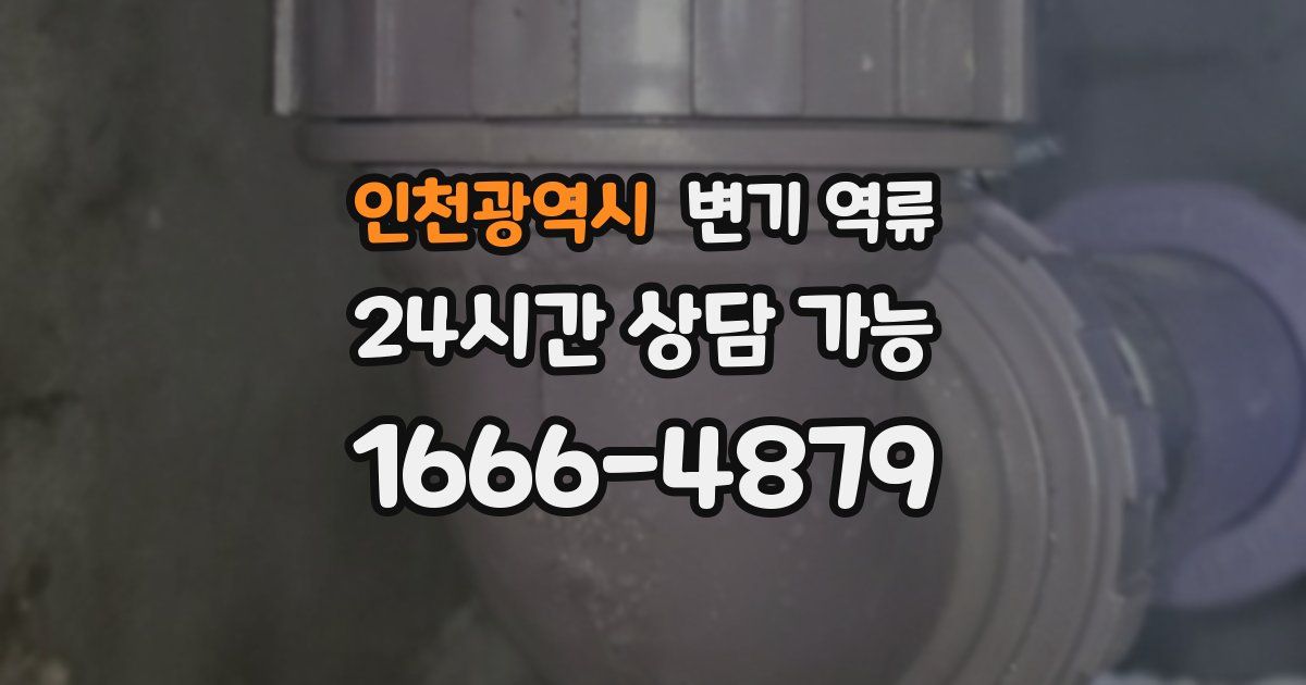 인천광역시 변기 역류